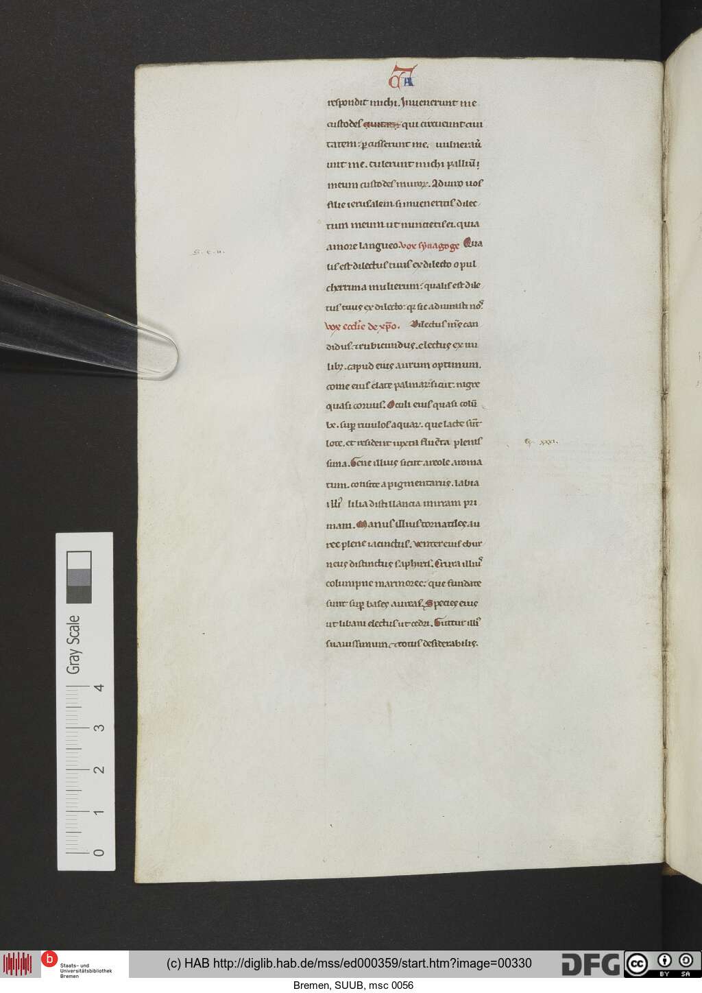 http://diglib.hab.de/mss/ed000359/00330.jpg