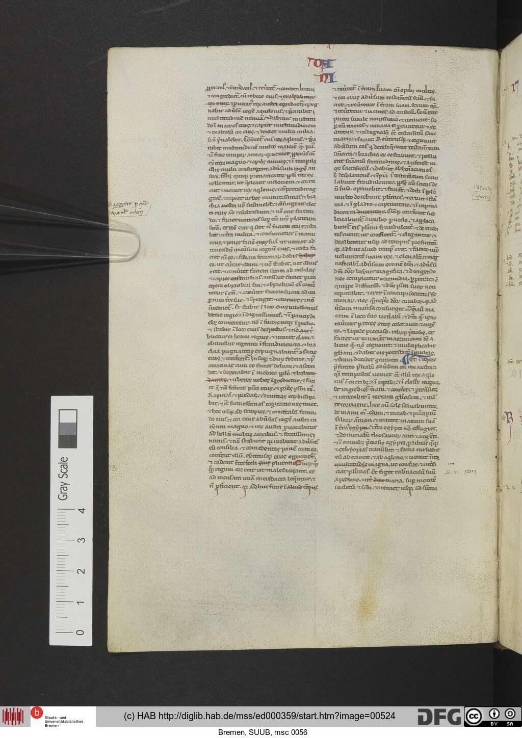 http://diglib.hab.de/mss/ed000359/00524.jpg