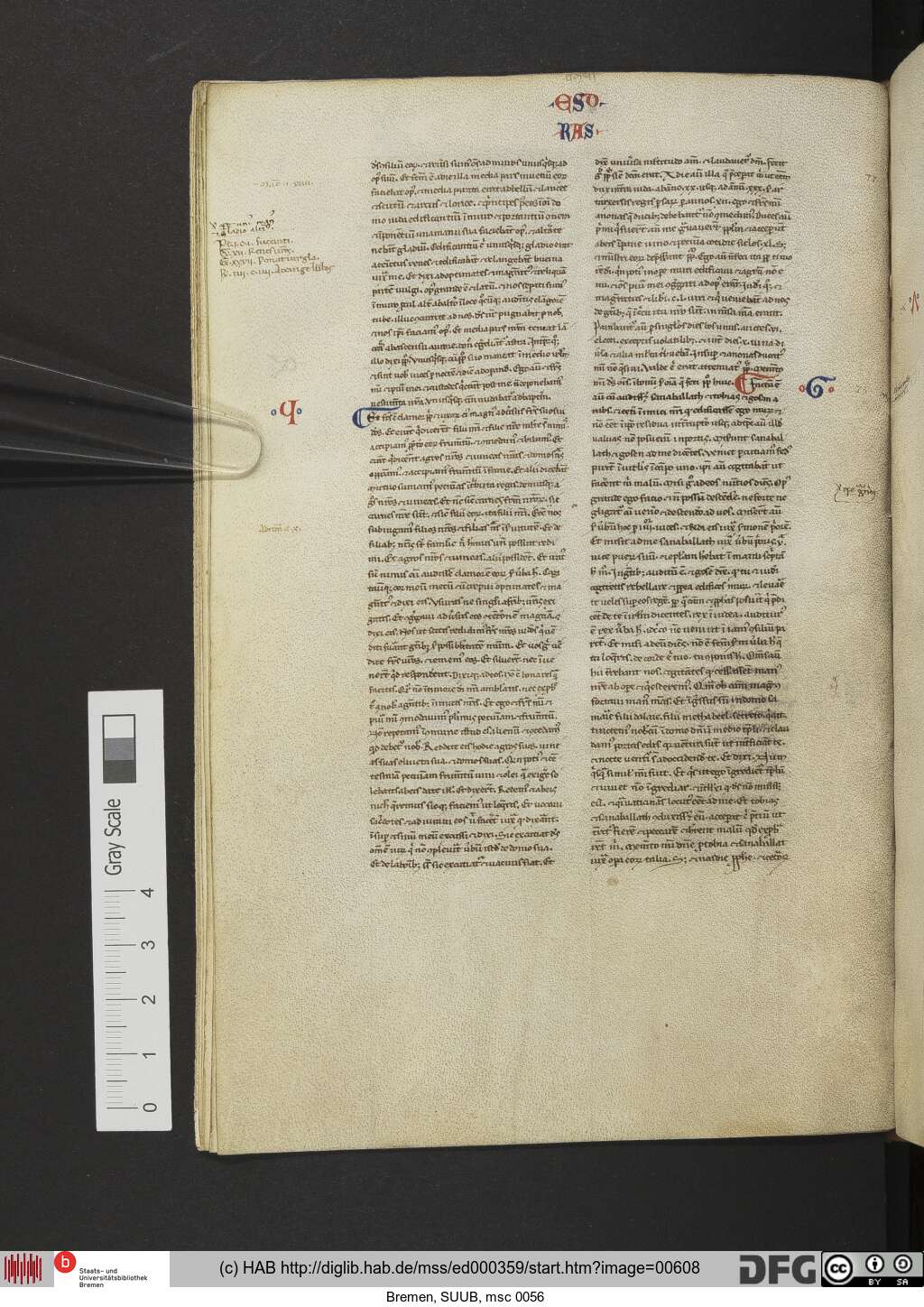 http://diglib.hab.de/mss/ed000359/00608.jpg