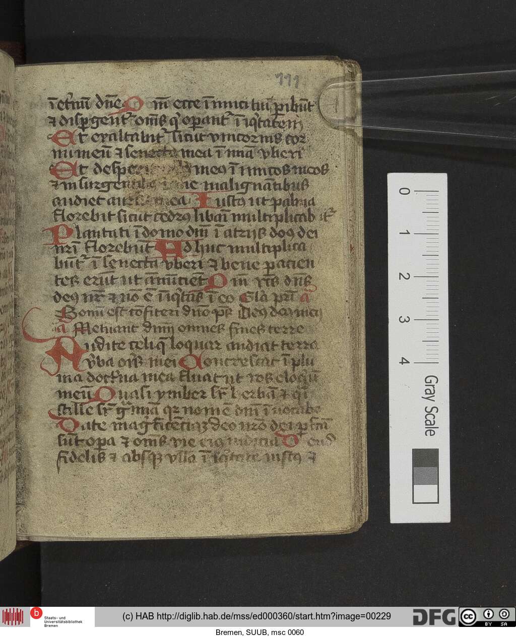 http://diglib.hab.de/mss/ed000360/00229.jpg