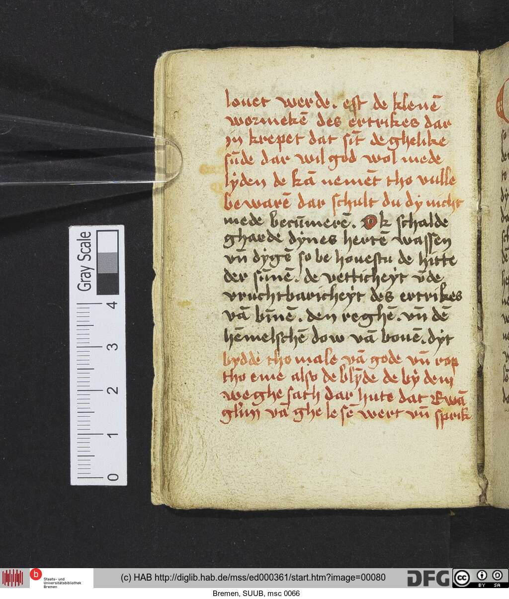 http://diglib.hab.de/mss/ed000361/00080.jpg
