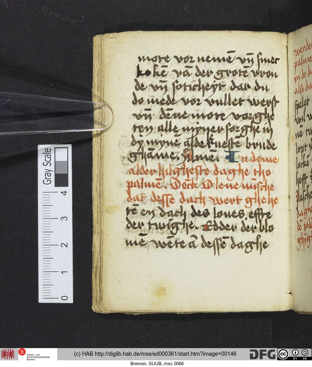 http://diglib.hab.de/mss/ed000361/00146.jpg