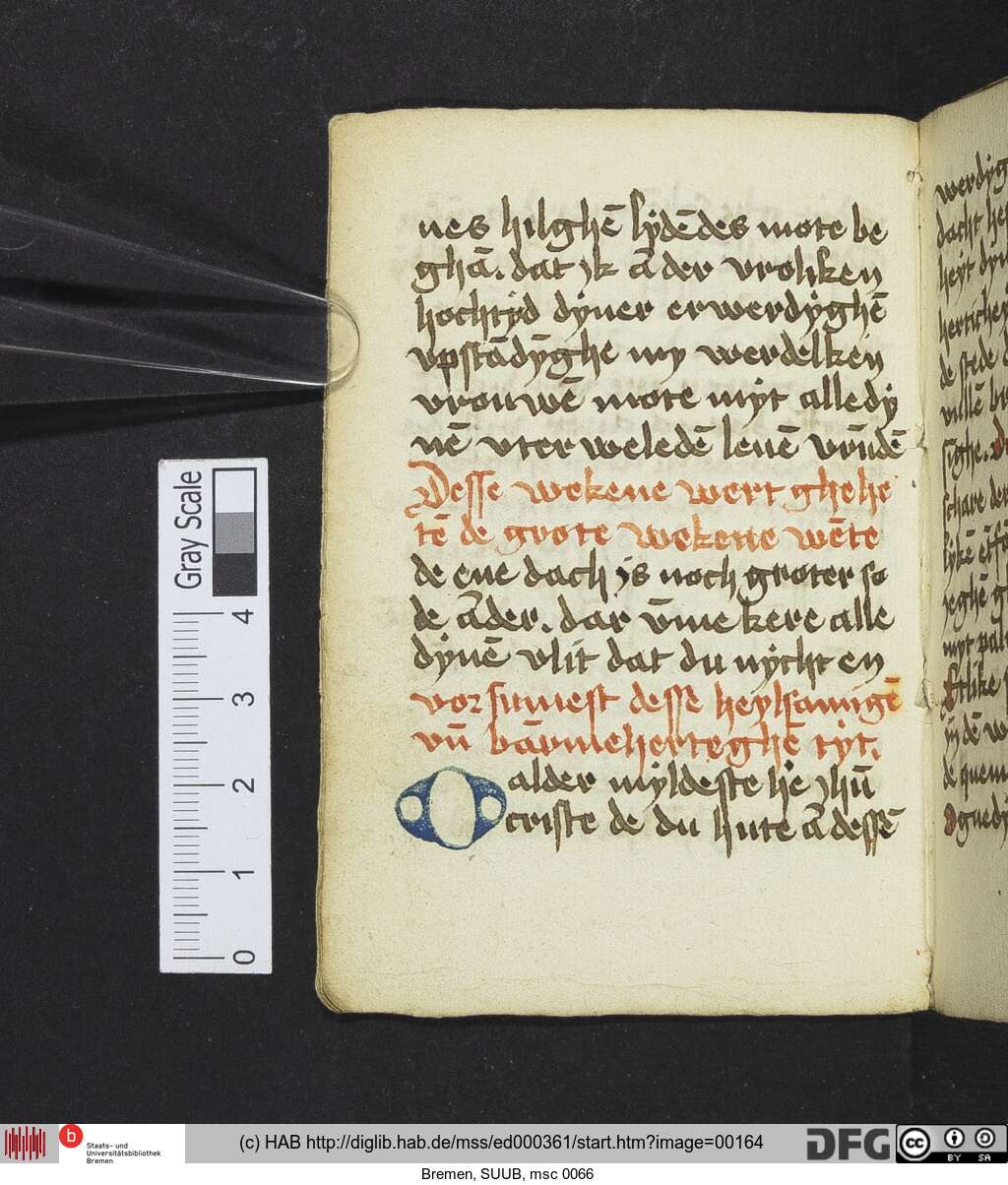 http://diglib.hab.de/mss/ed000361/00164.jpg