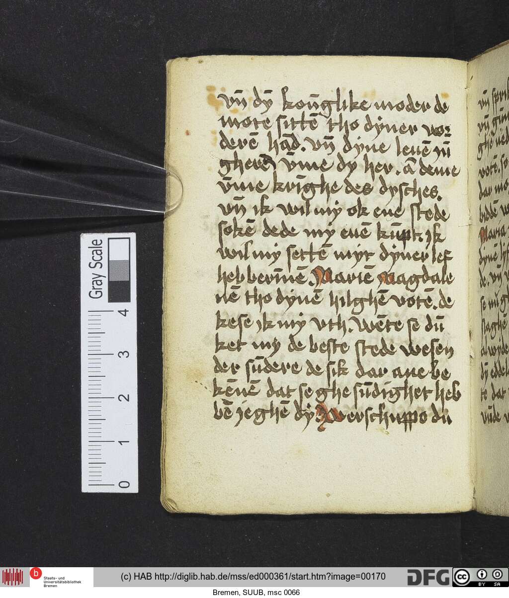 http://diglib.hab.de/mss/ed000361/00170.jpg