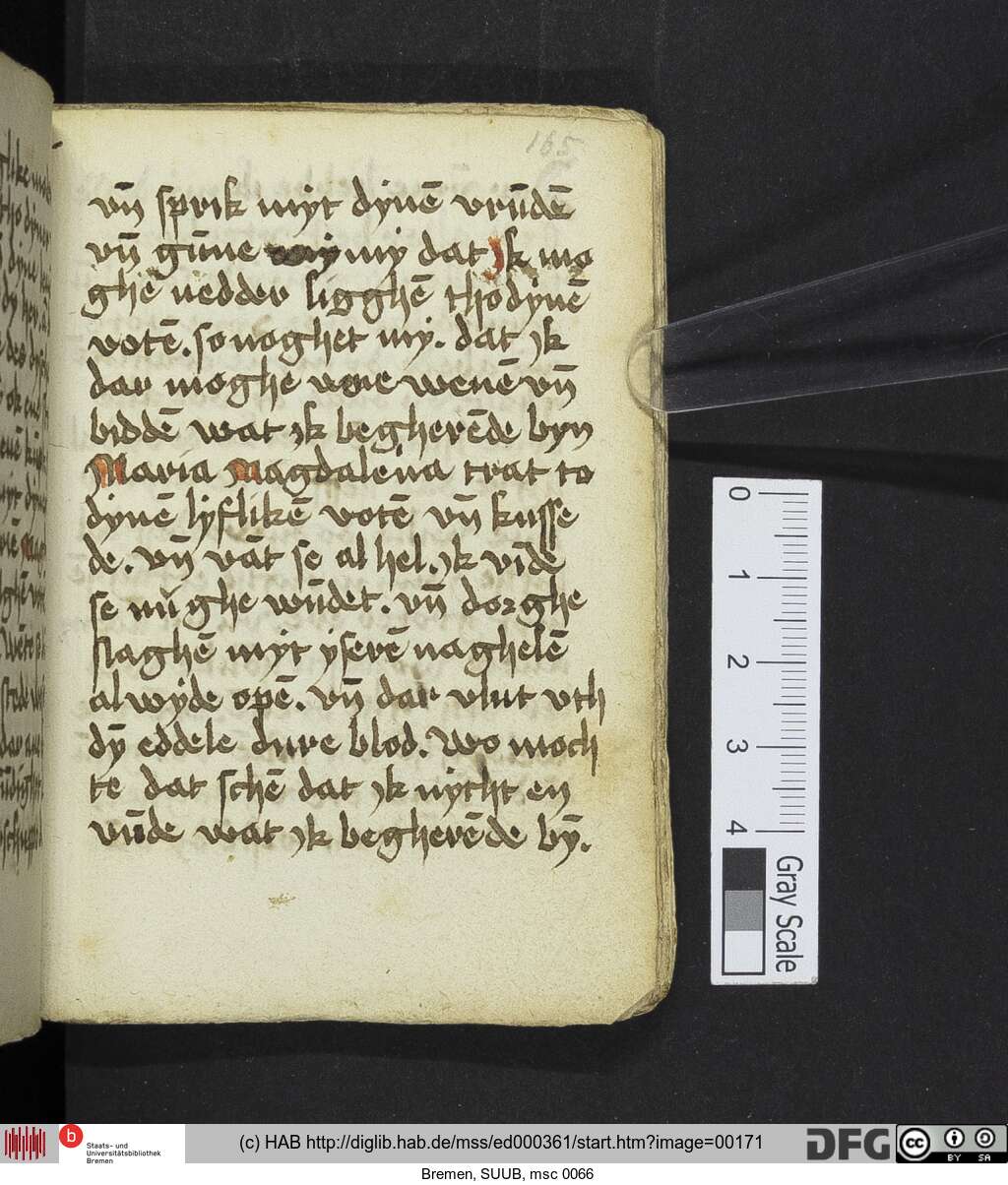 http://diglib.hab.de/mss/ed000361/00171.jpg