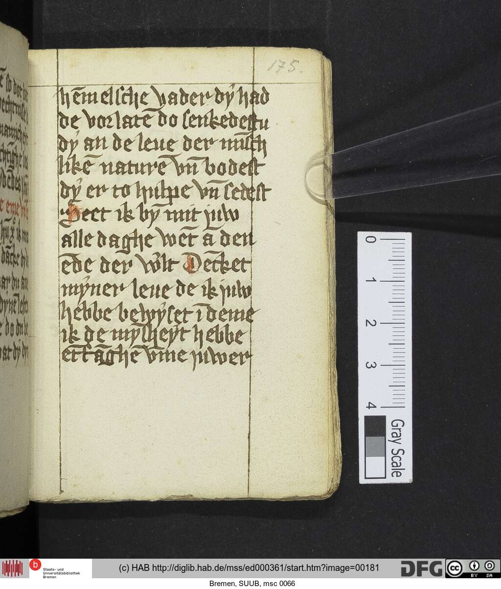 http://diglib.hab.de/mss/ed000361/00181.jpg