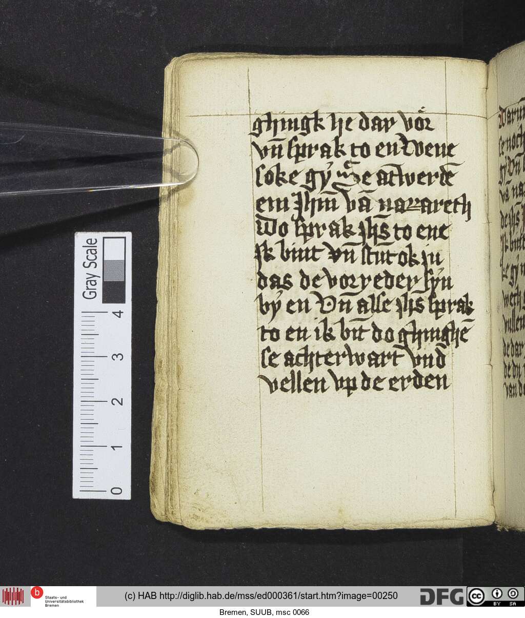 http://diglib.hab.de/mss/ed000361/00250.jpg