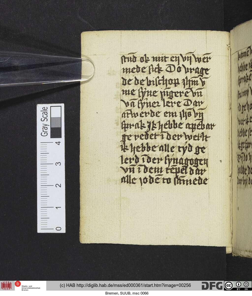http://diglib.hab.de/mss/ed000361/00256.jpg