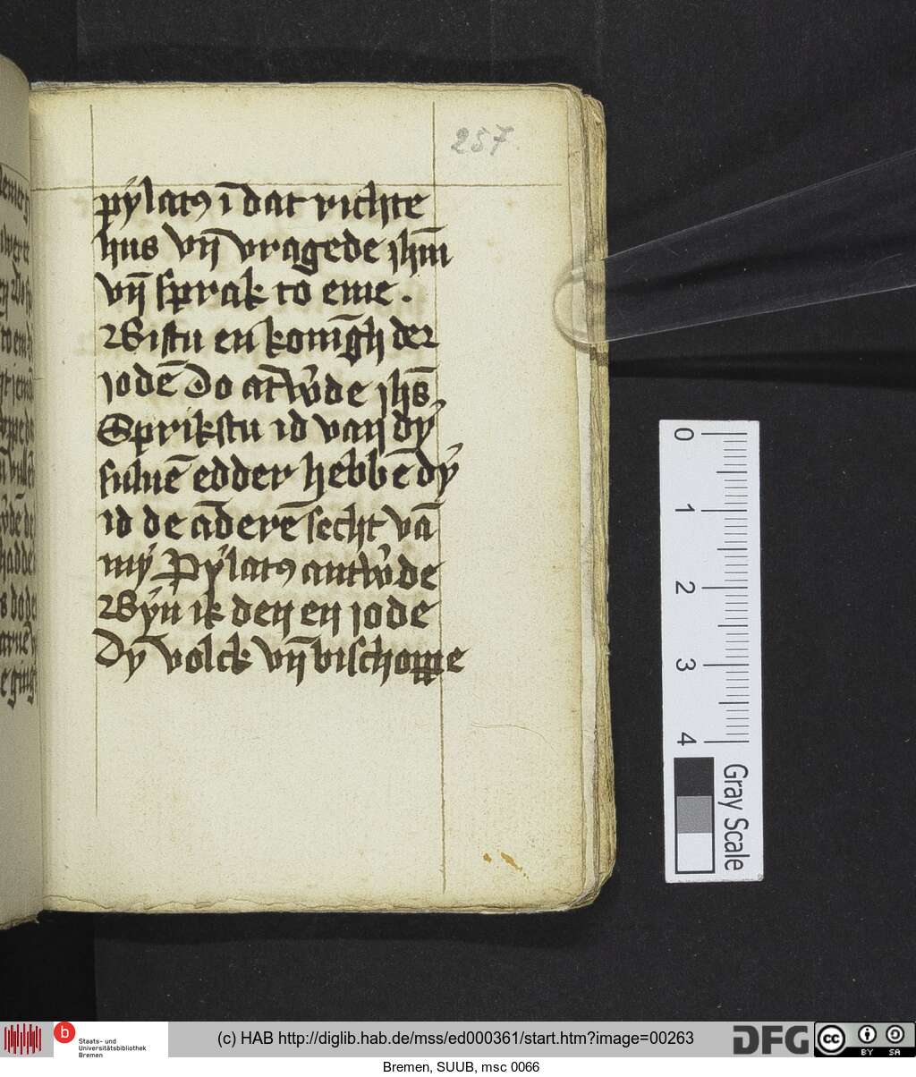 http://diglib.hab.de/mss/ed000361/00263.jpg