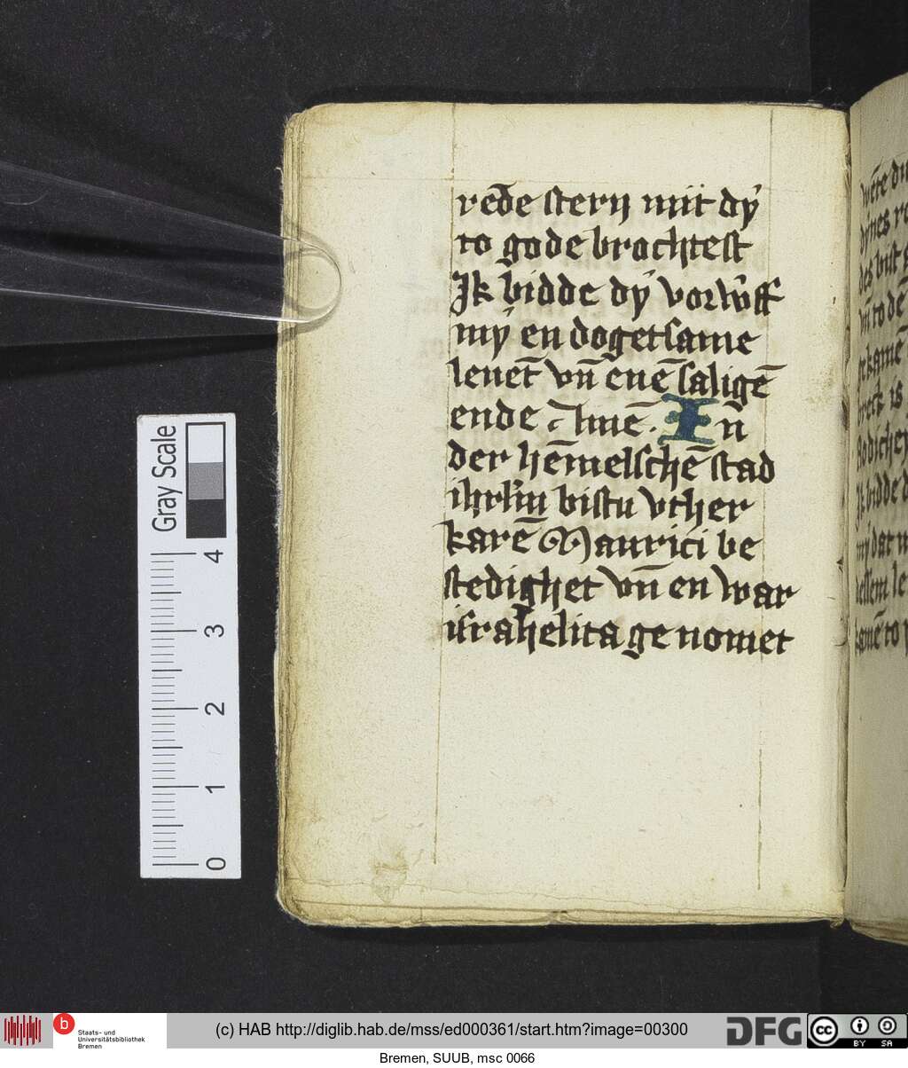 http://diglib.hab.de/mss/ed000361/00300.jpg