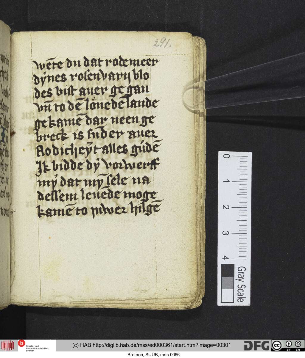 http://diglib.hab.de/mss/ed000361/00301.jpg