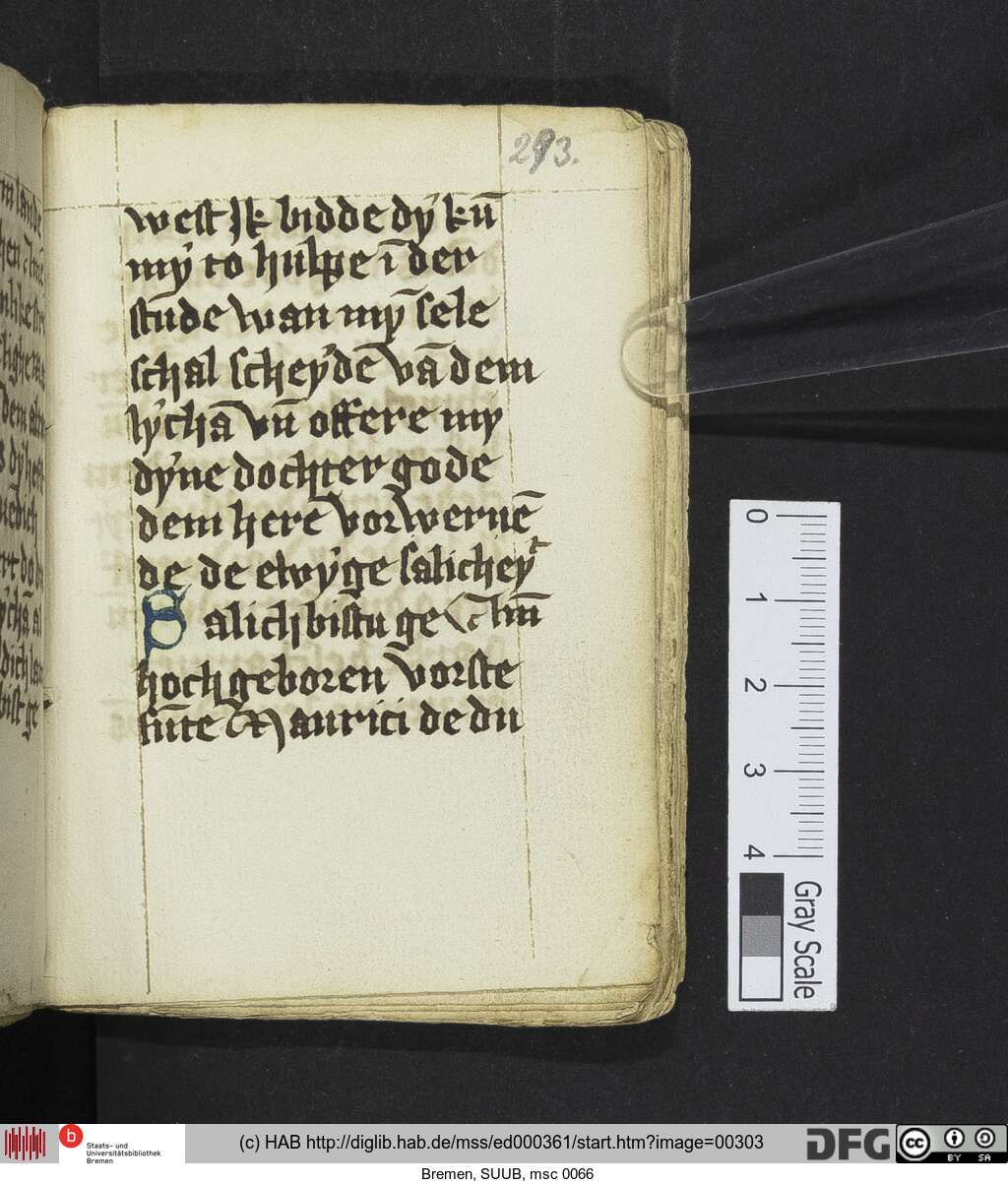 http://diglib.hab.de/mss/ed000361/00303.jpg