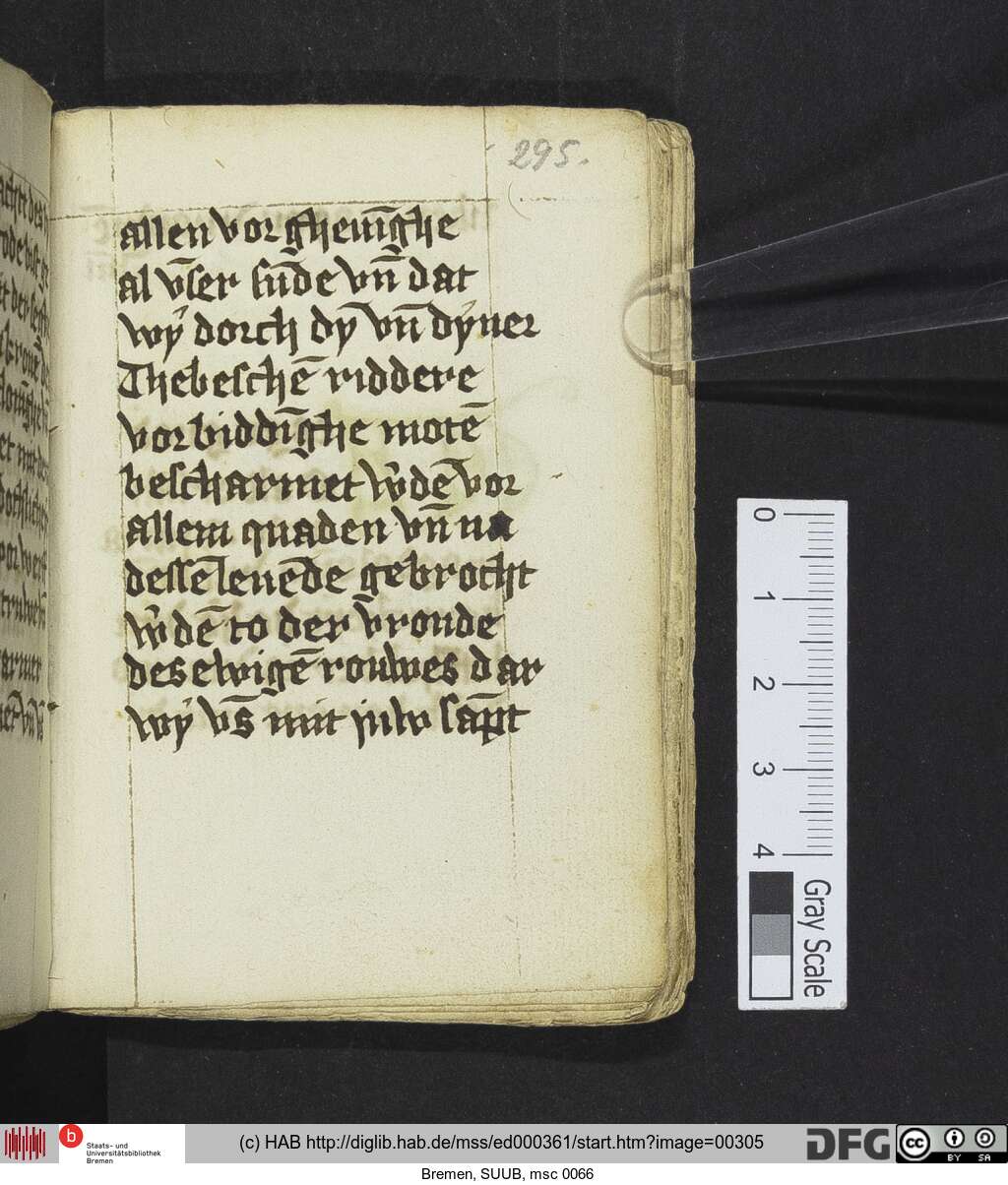 http://diglib.hab.de/mss/ed000361/00305.jpg