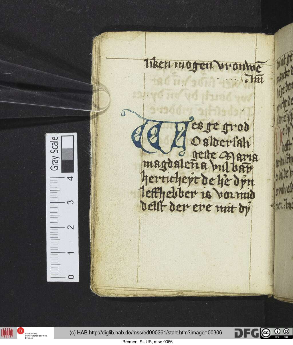 http://diglib.hab.de/mss/ed000361/00306.jpg