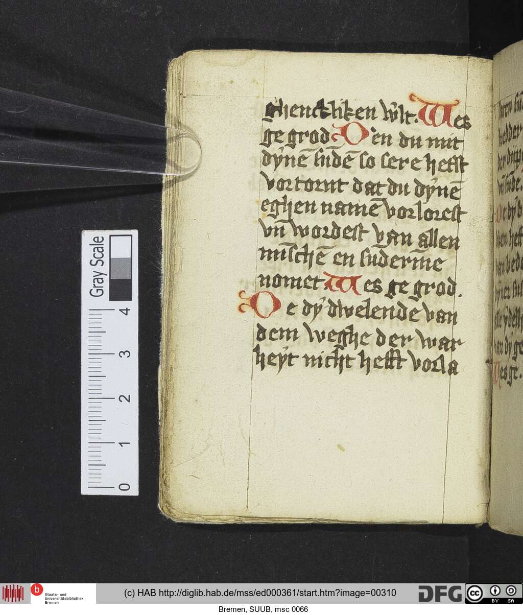 http://diglib.hab.de/mss/ed000361/00310.jpg