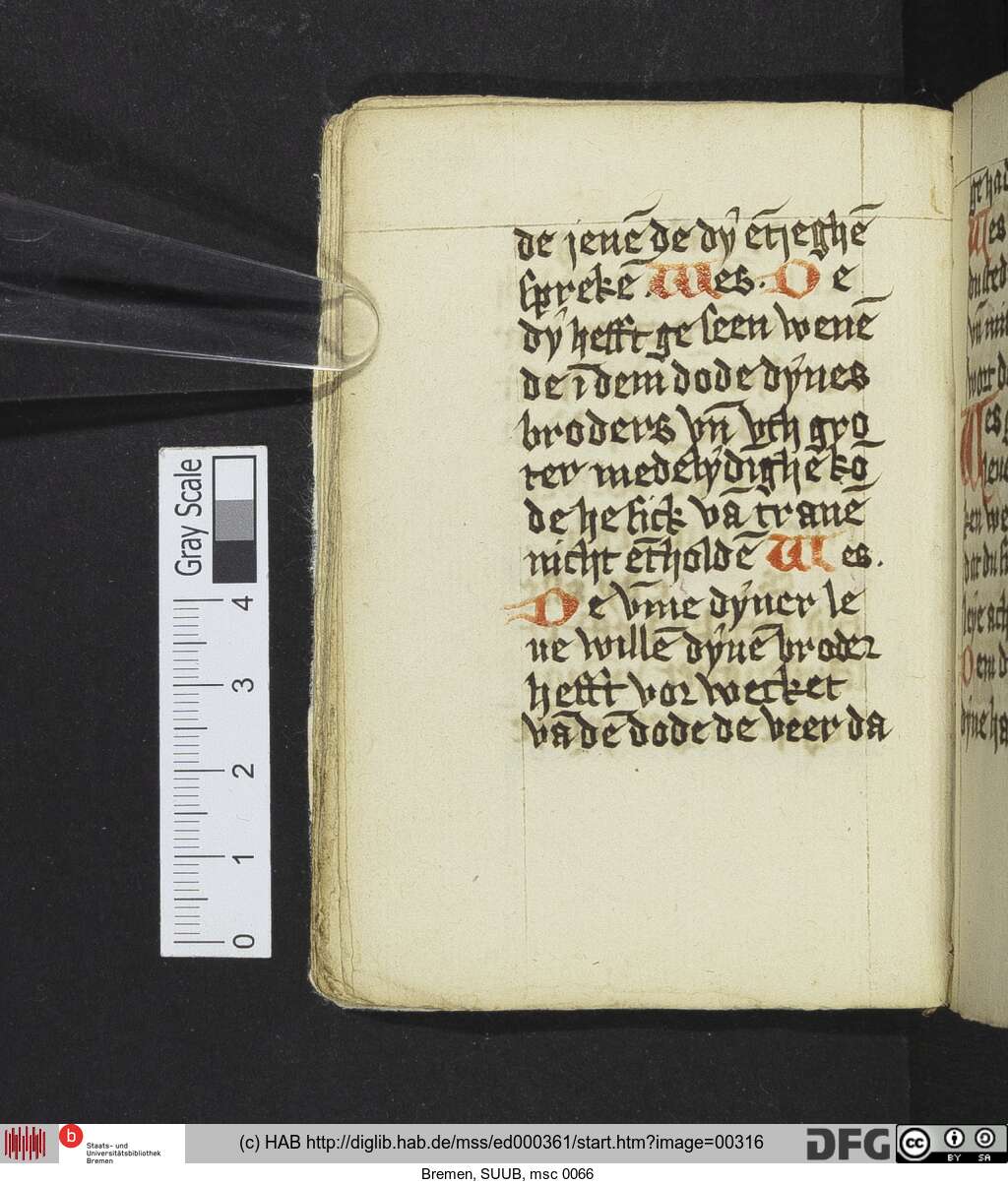 http://diglib.hab.de/mss/ed000361/00316.jpg