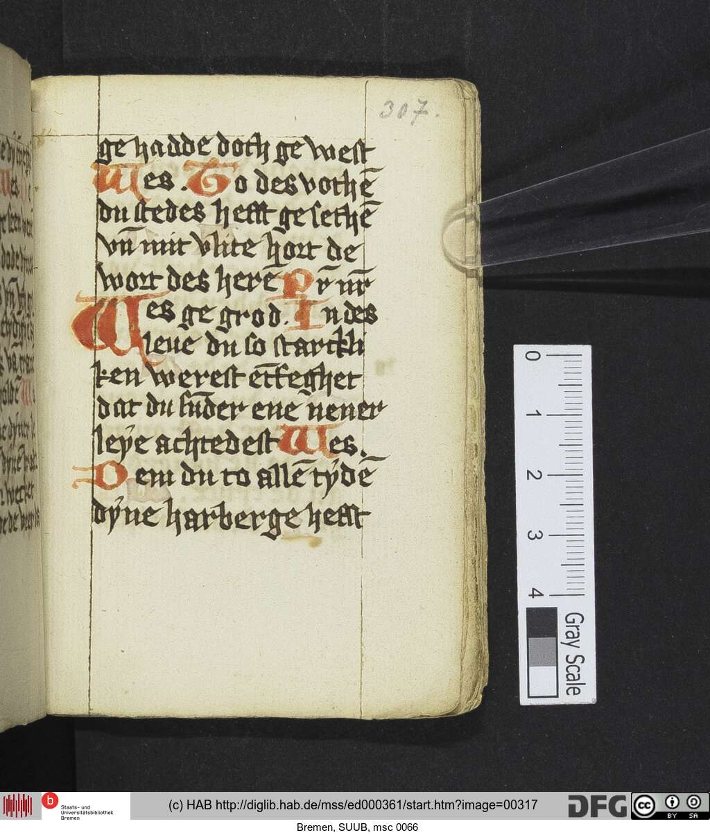 http://diglib.hab.de/mss/ed000361/00317.jpg