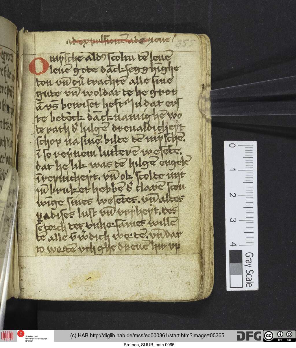 http://diglib.hab.de/mss/ed000361/00365.jpg