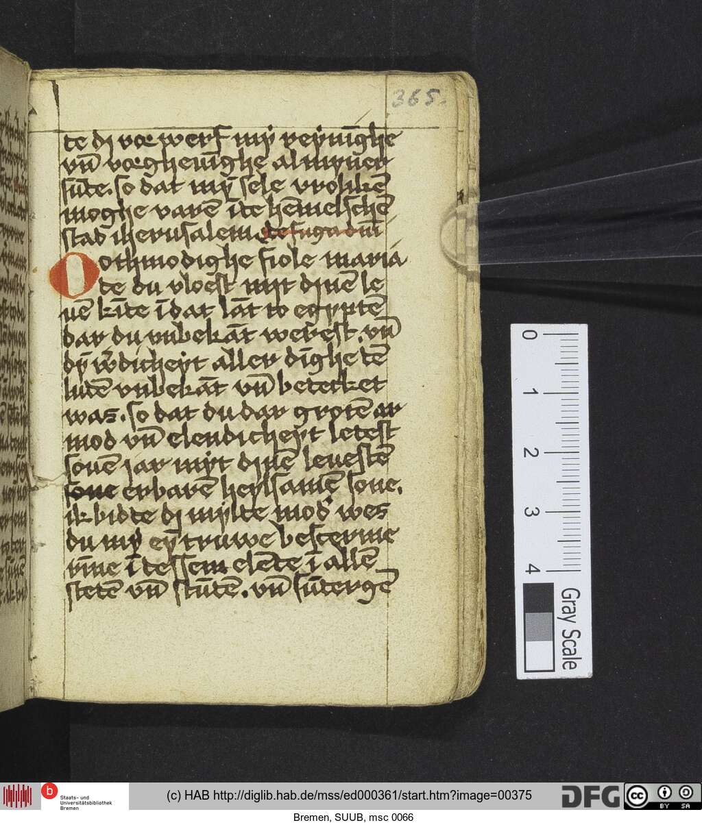 http://diglib.hab.de/mss/ed000361/00375.jpg