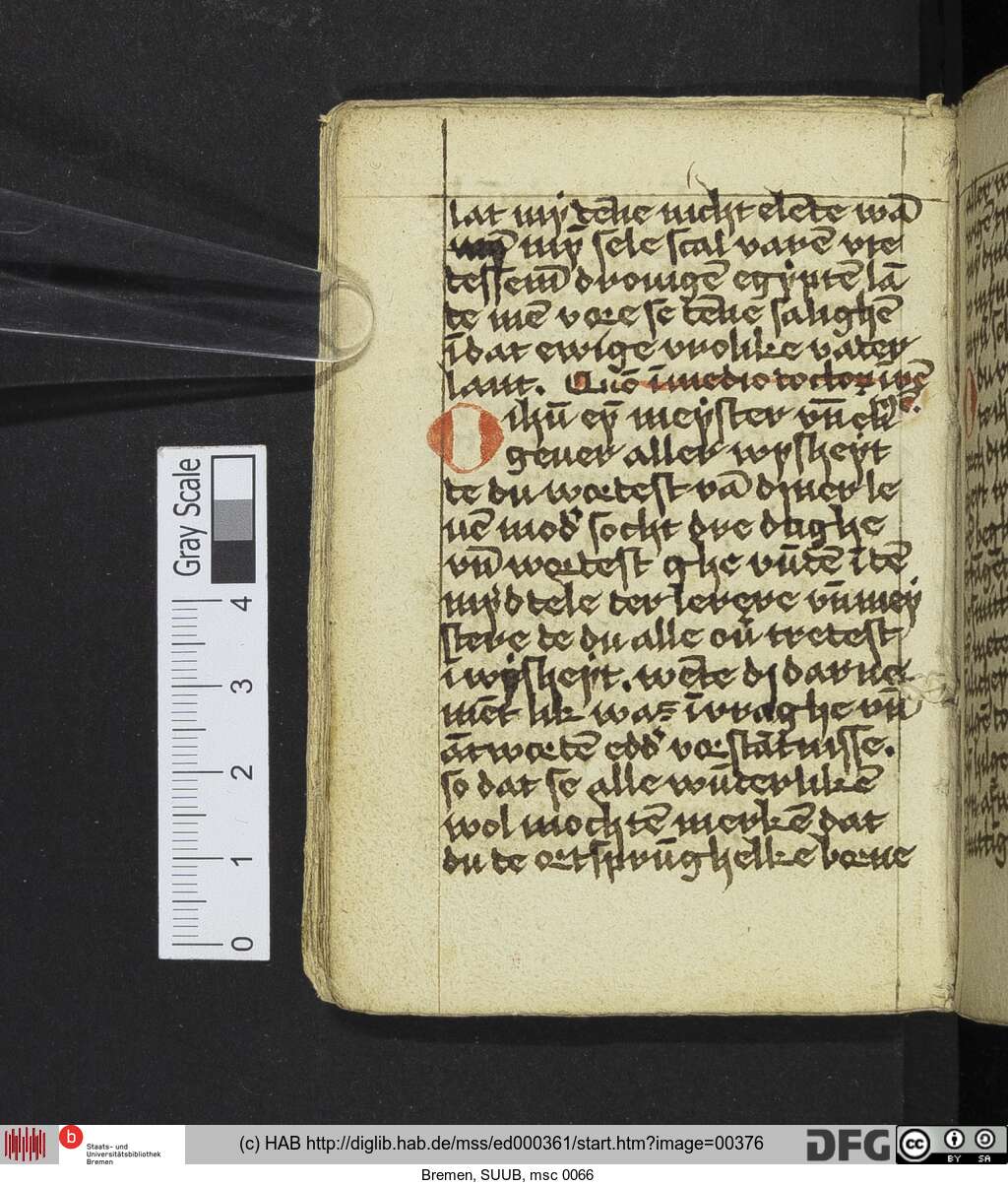 http://diglib.hab.de/mss/ed000361/00376.jpg