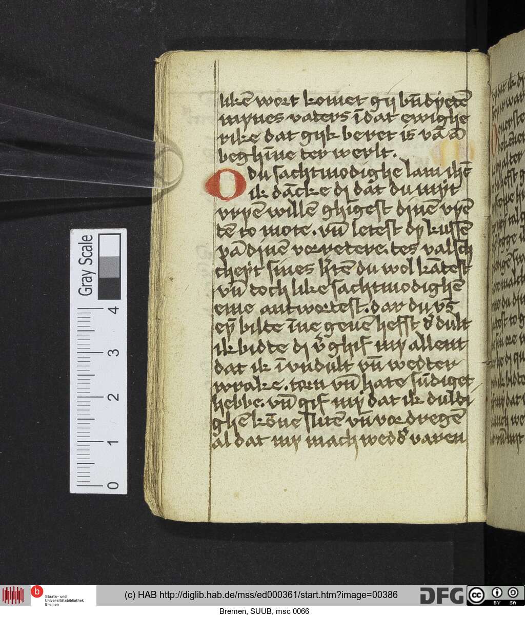 http://diglib.hab.de/mss/ed000361/00386.jpg