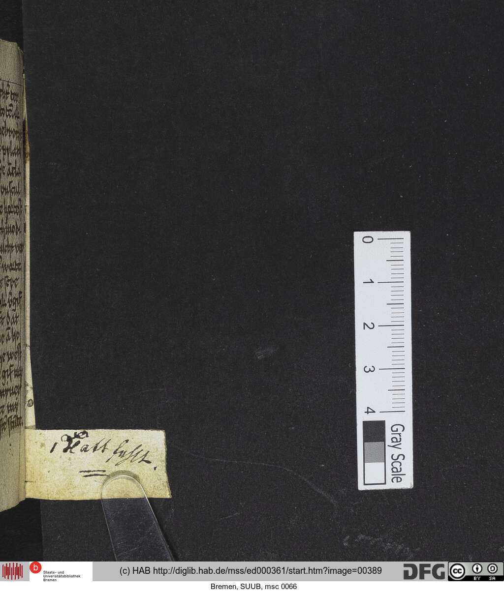 http://diglib.hab.de/mss/ed000361/00389.jpg