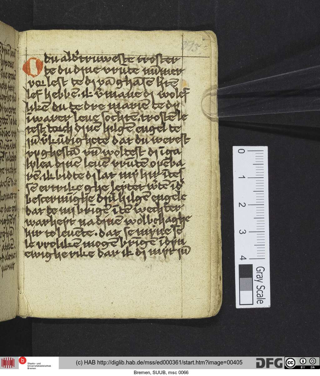 http://diglib.hab.de/mss/ed000361/00405.jpg