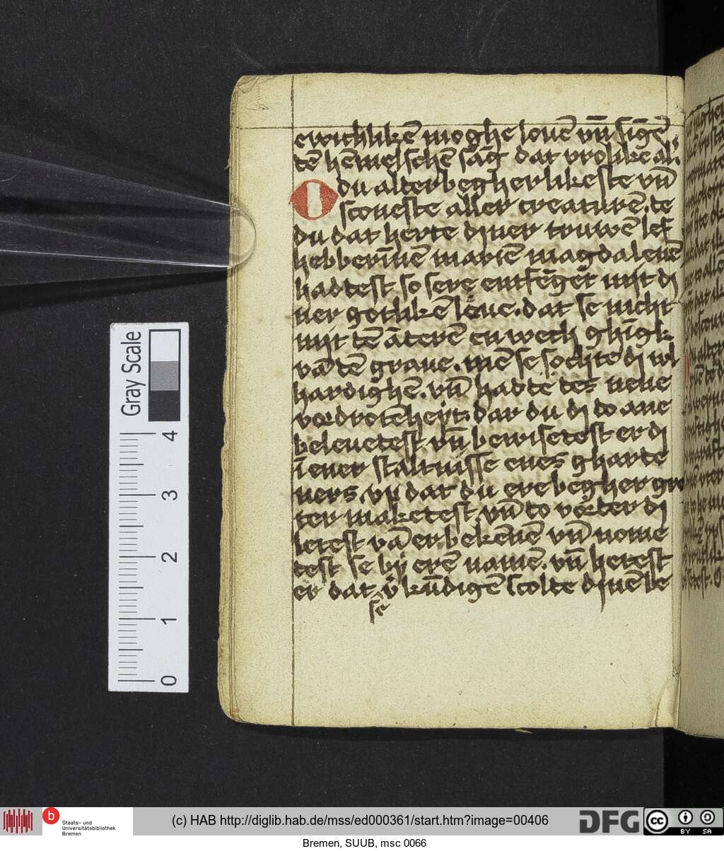 http://diglib.hab.de/mss/ed000361/00406.jpg