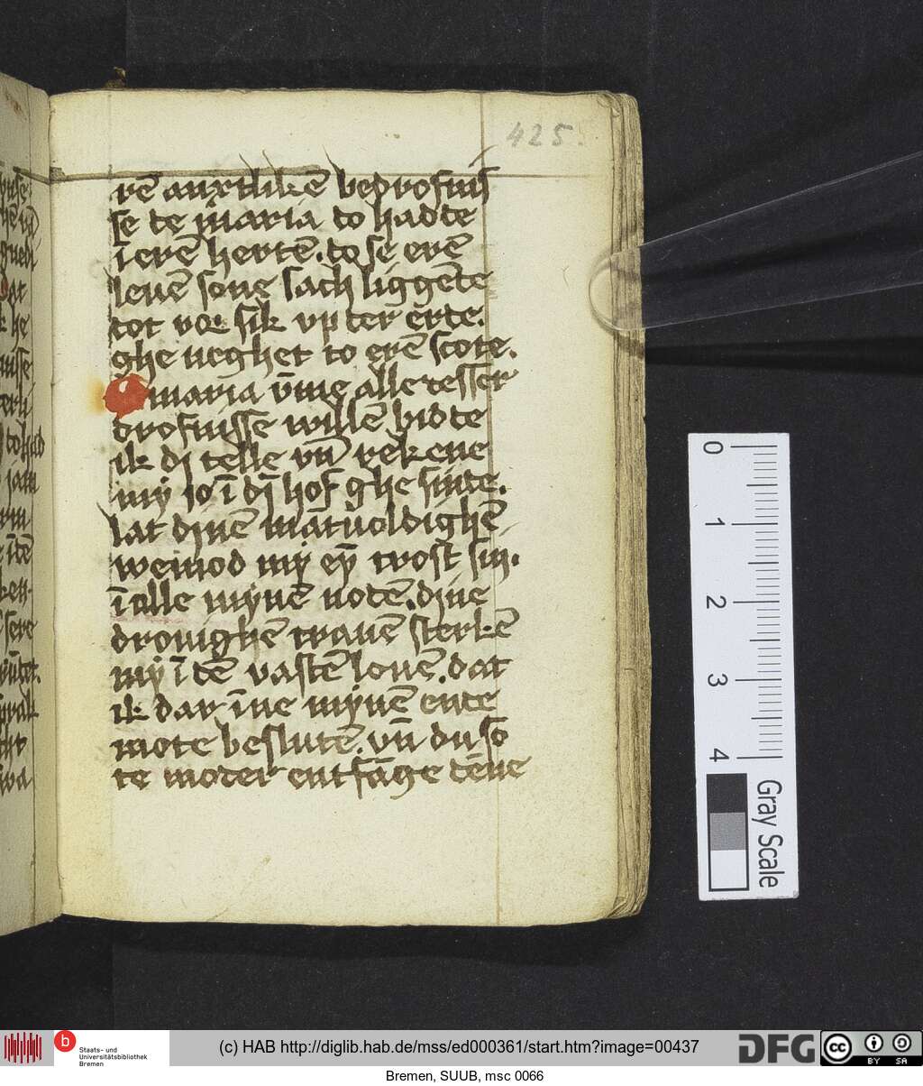http://diglib.hab.de/mss/ed000361/00437.jpg