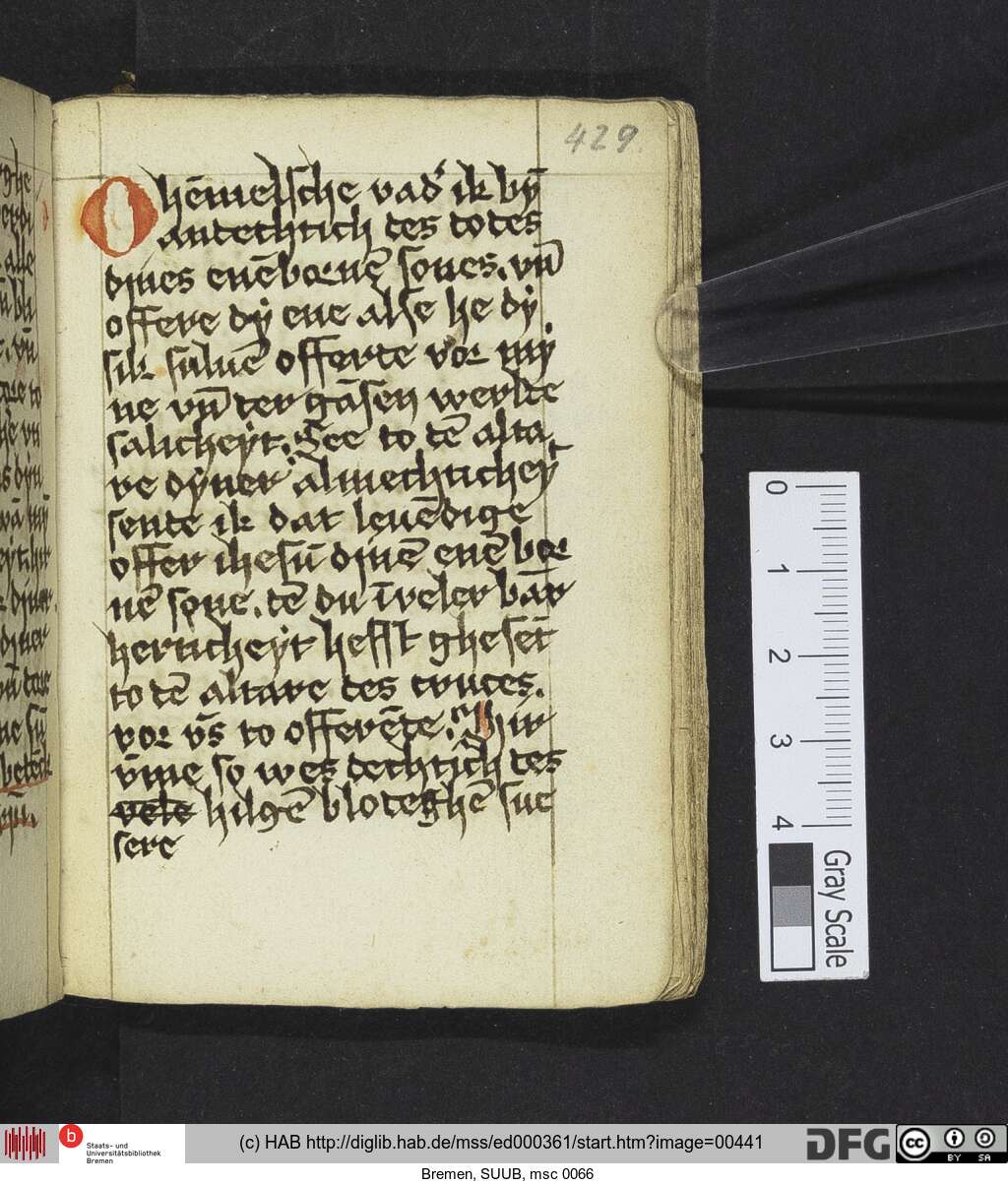 http://diglib.hab.de/mss/ed000361/00441.jpg
