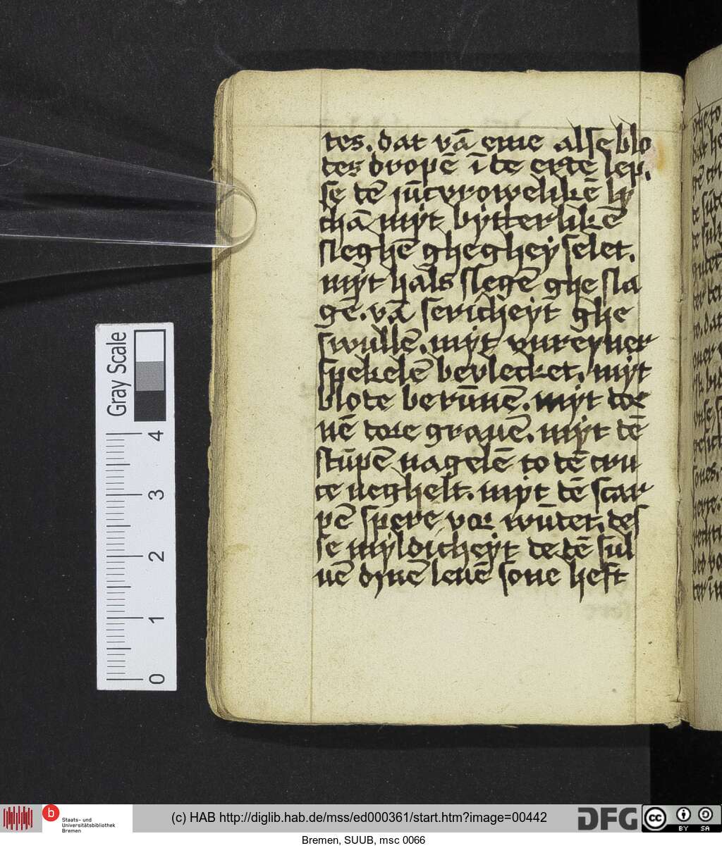 http://diglib.hab.de/mss/ed000361/00442.jpg