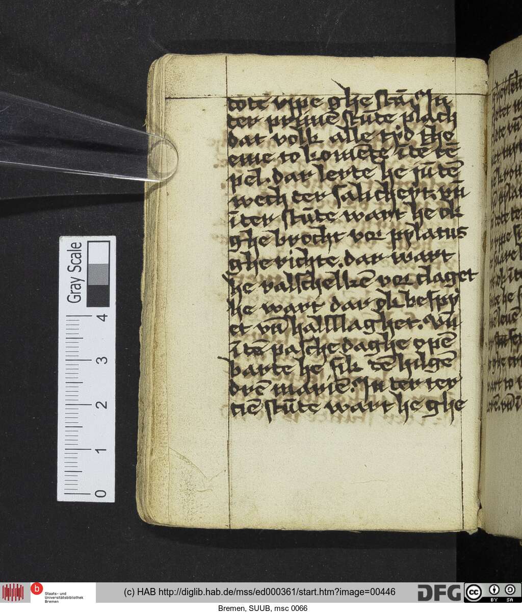 http://diglib.hab.de/mss/ed000361/00446.jpg