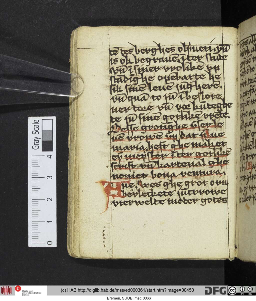 http://diglib.hab.de/mss/ed000361/00450.jpg