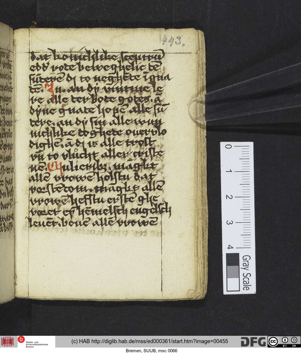 http://diglib.hab.de/mss/ed000361/00455.jpg
