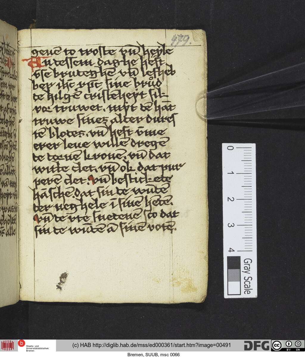 http://diglib.hab.de/mss/ed000361/00491.jpg
