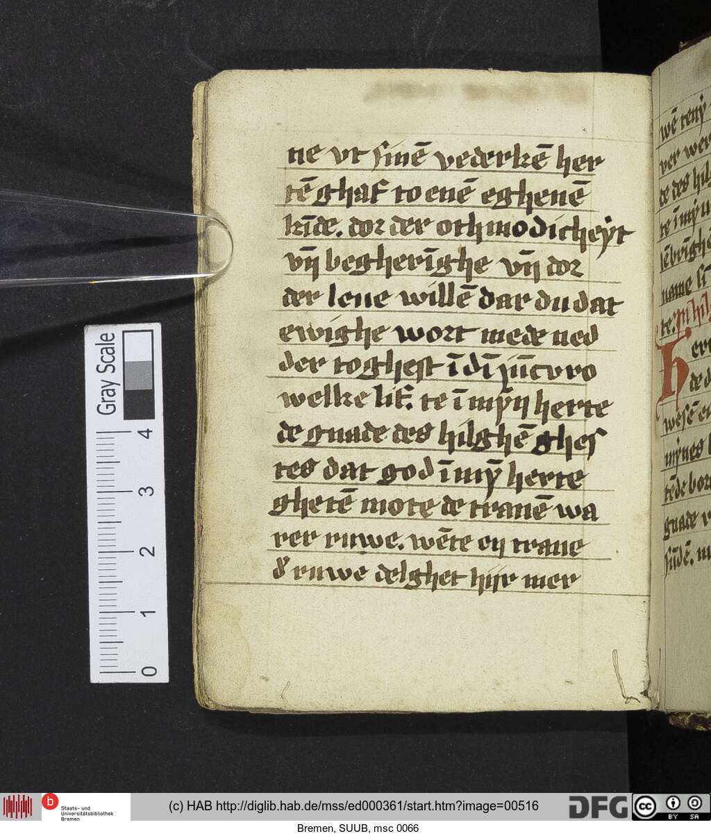 http://diglib.hab.de/mss/ed000361/00516.jpg