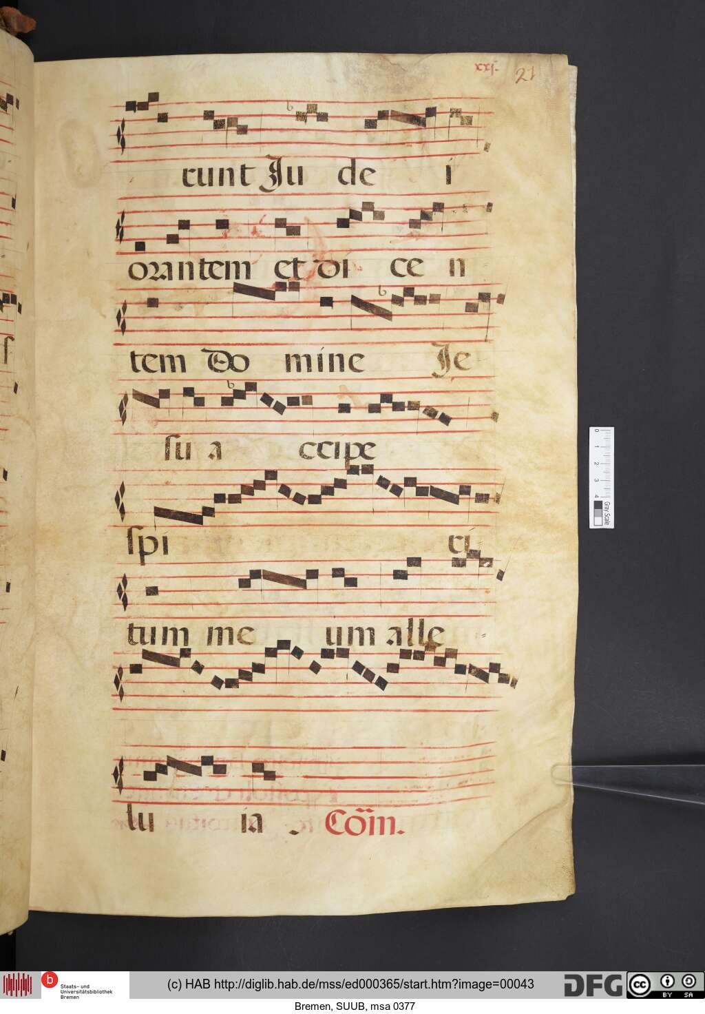 http://diglib.hab.de/mss/ed000365/00043.jpg