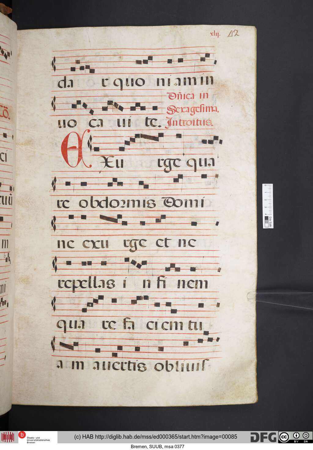 http://diglib.hab.de/mss/ed000365/00085.jpg