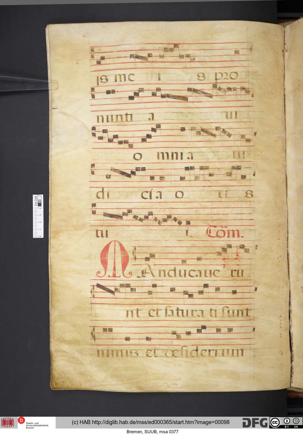 http://diglib.hab.de/mss/ed000365/00098.jpg