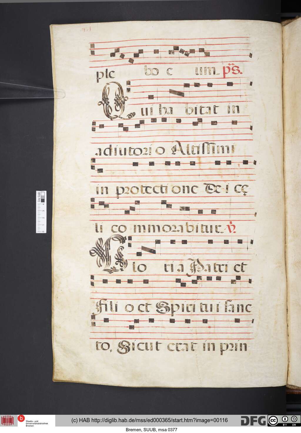 http://diglib.hab.de/mss/ed000365/00116.jpg
