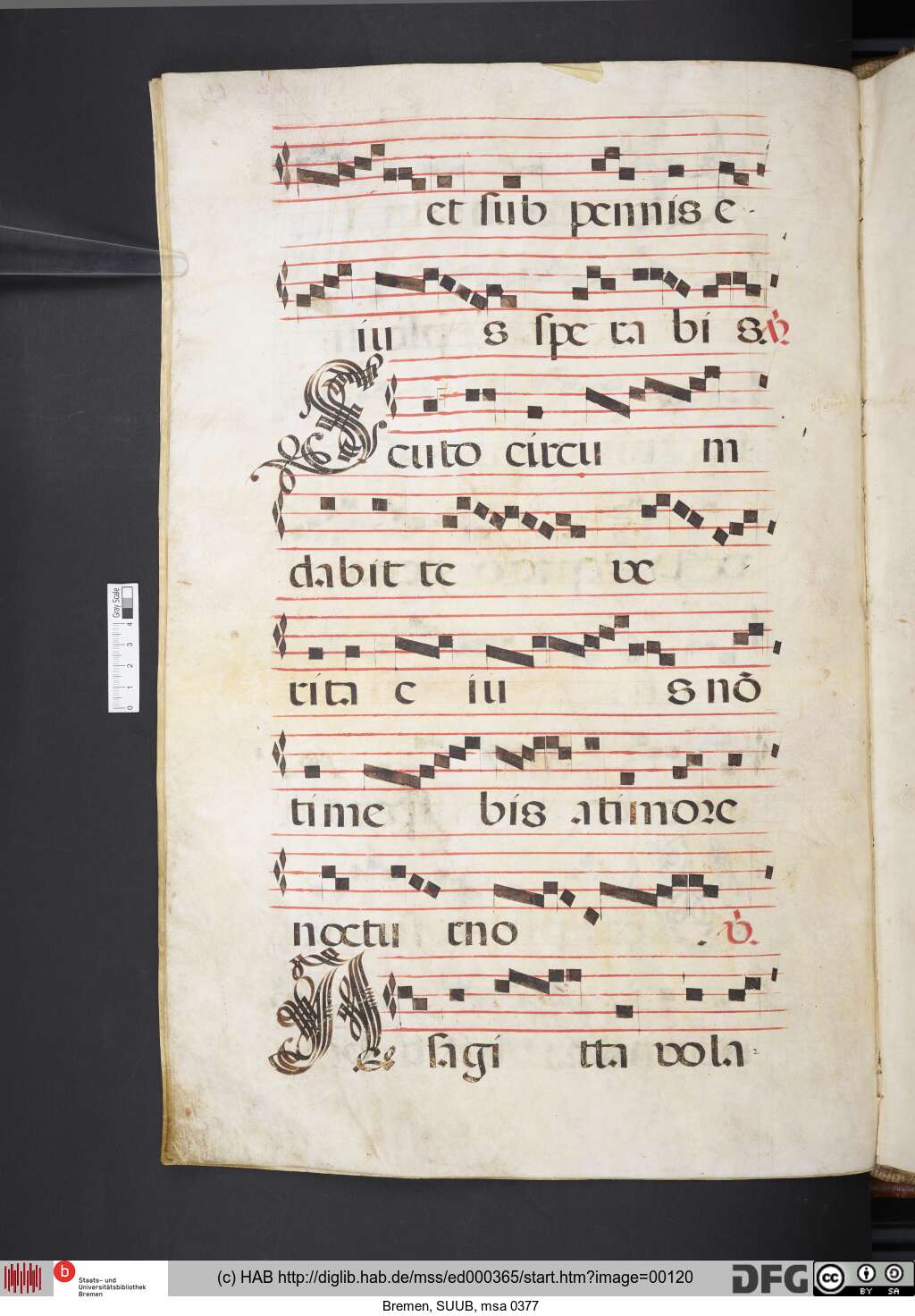 http://diglib.hab.de/mss/ed000365/00120.jpg