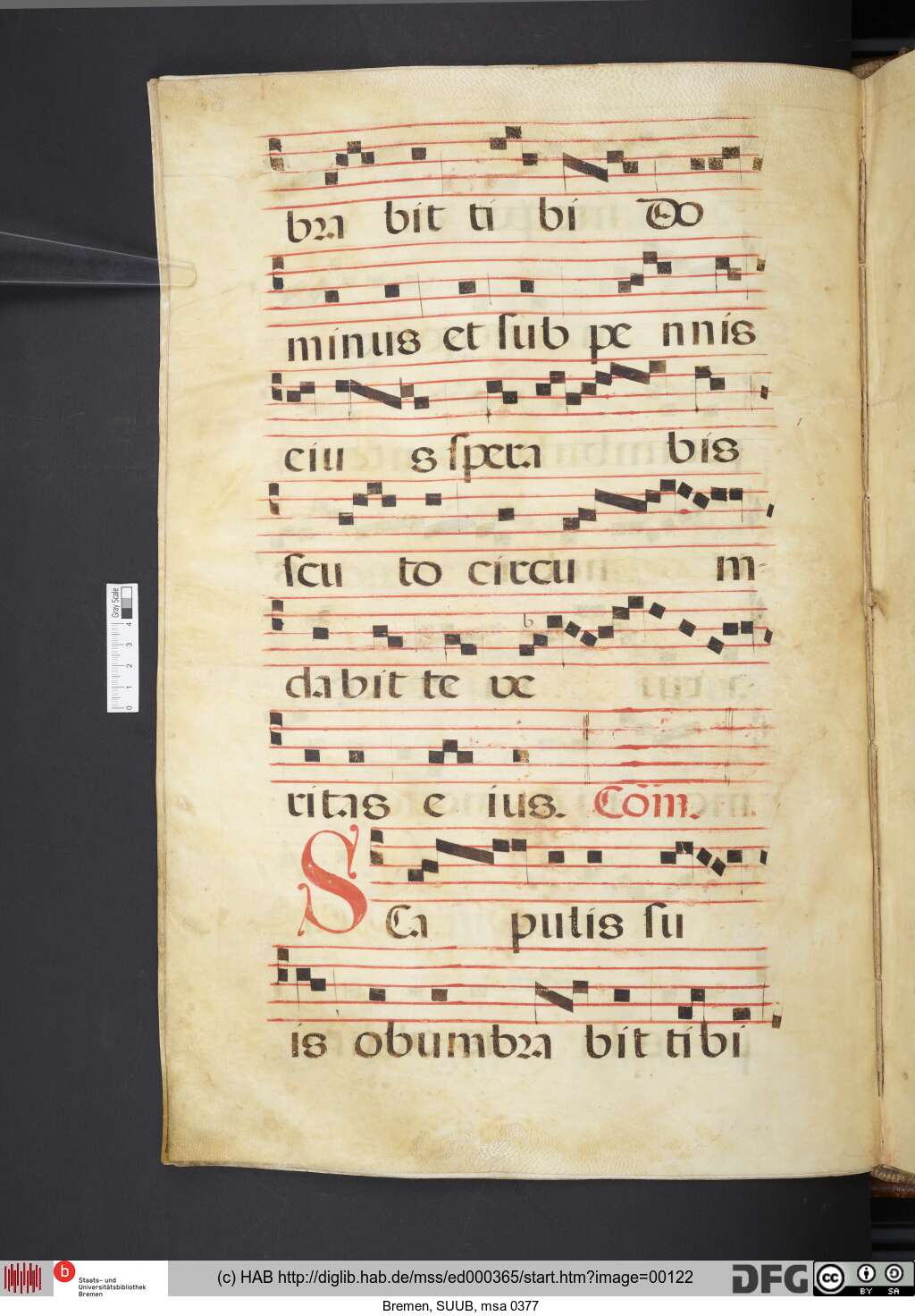 http://diglib.hab.de/mss/ed000365/00122.jpg