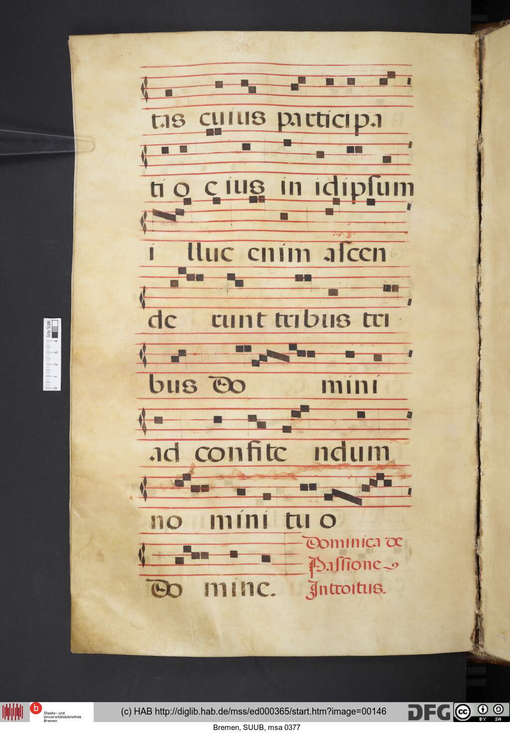 http://diglib.hab.de/mss/ed000365/00146.jpg