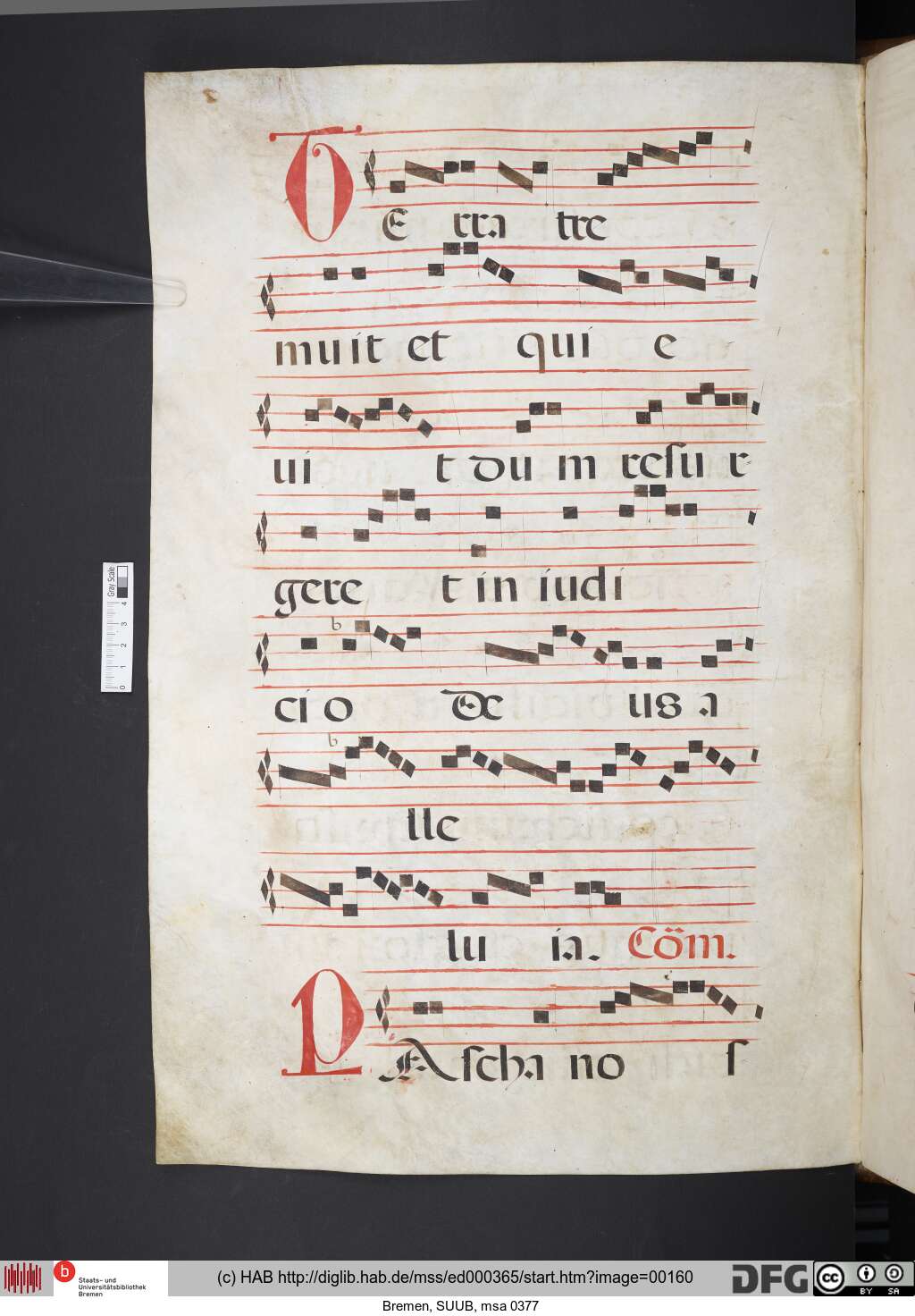 http://diglib.hab.de/mss/ed000365/00160.jpg
