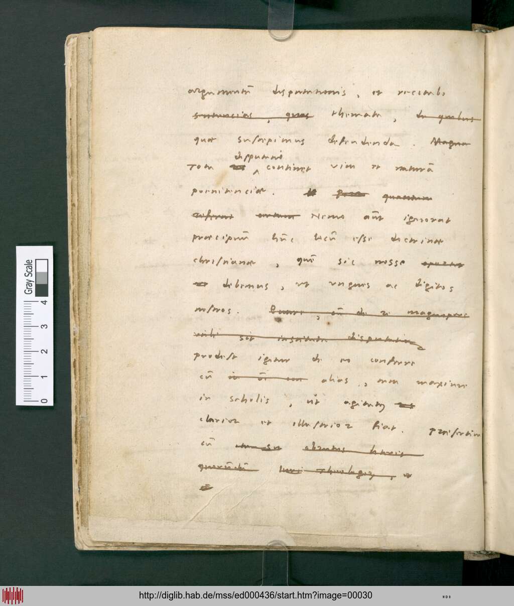 http://diglib.hab.de/mss/ed000436/00030.jpg