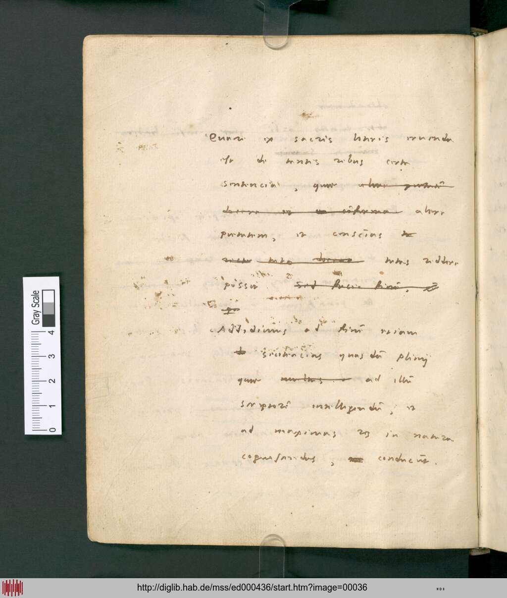 http://diglib.hab.de/mss/ed000436/00036.jpg