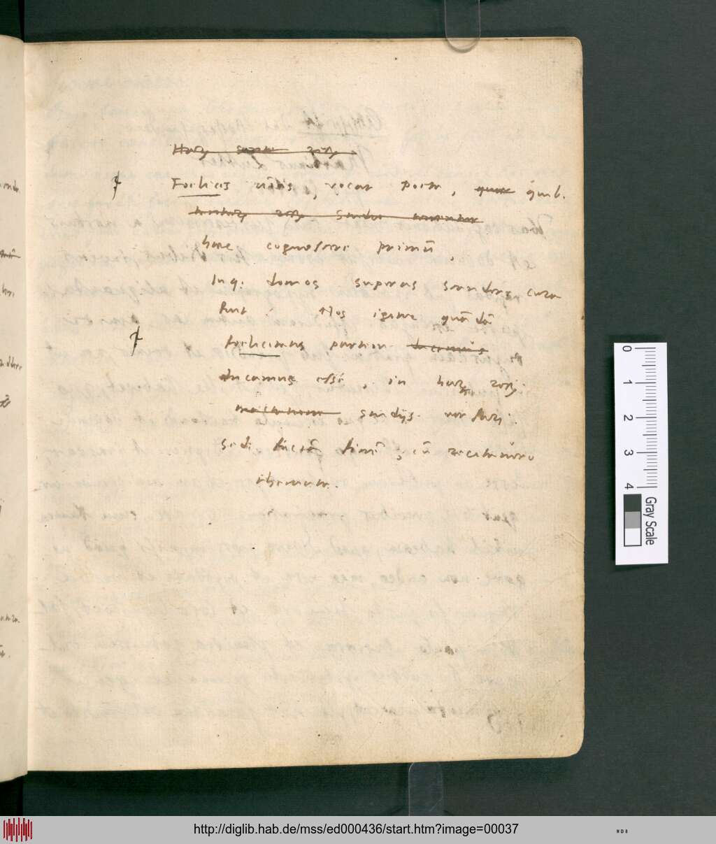 http://diglib.hab.de/mss/ed000436/00037.jpg