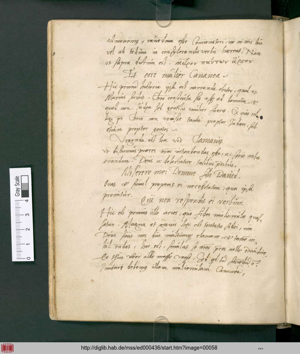 http://diglib.hab.de/mss/ed000436/00058.jpg