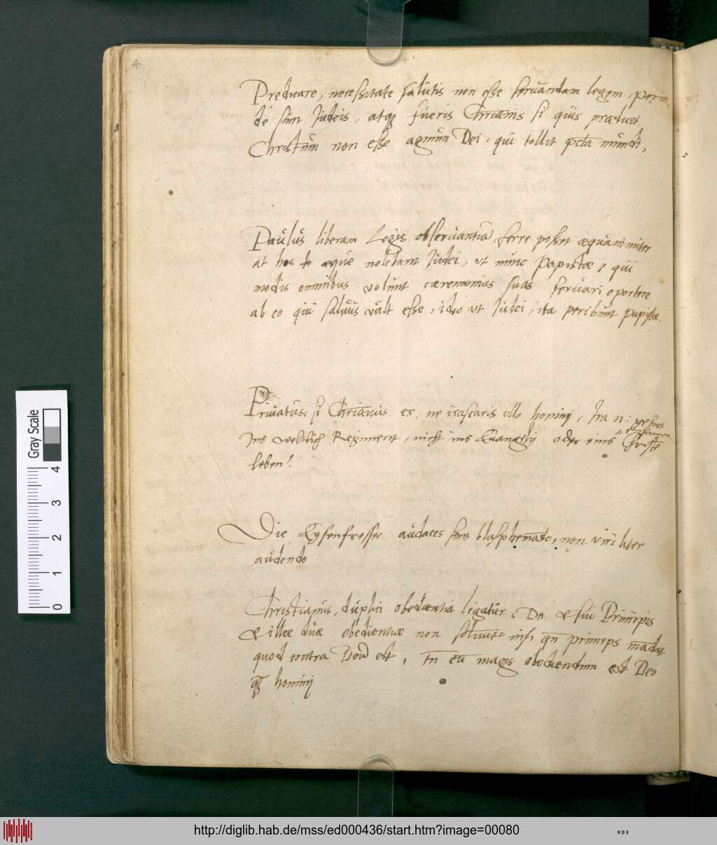 http://diglib.hab.de/mss/ed000436/00080.jpg