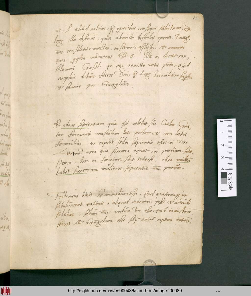 http://diglib.hab.de/mss/ed000436/00089.jpg